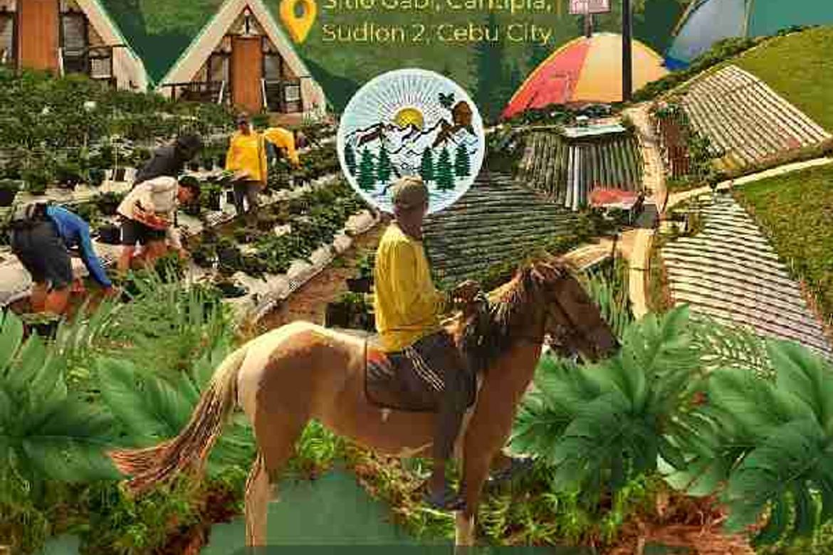 Land for Sale in Kamagayan, Cebu City, Cebu – photo 5