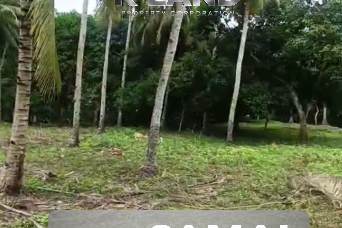 Land for Sale in Kanaan, Samal, Davao del Norte