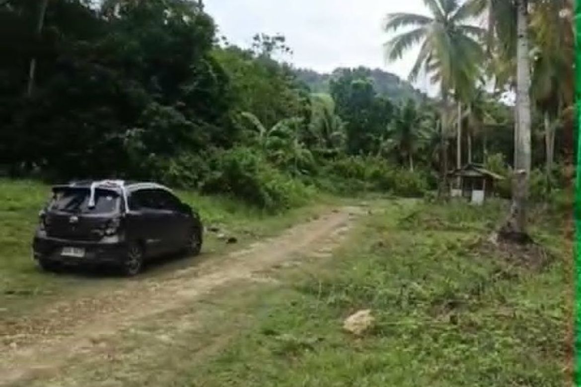 Land for Sale in Kanaan, Samal, Davao del Norte – photo 3