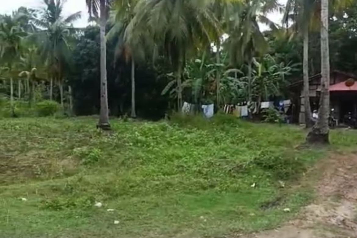 Land for Sale in Kanaan, Samal, Davao del Norte – photo 4