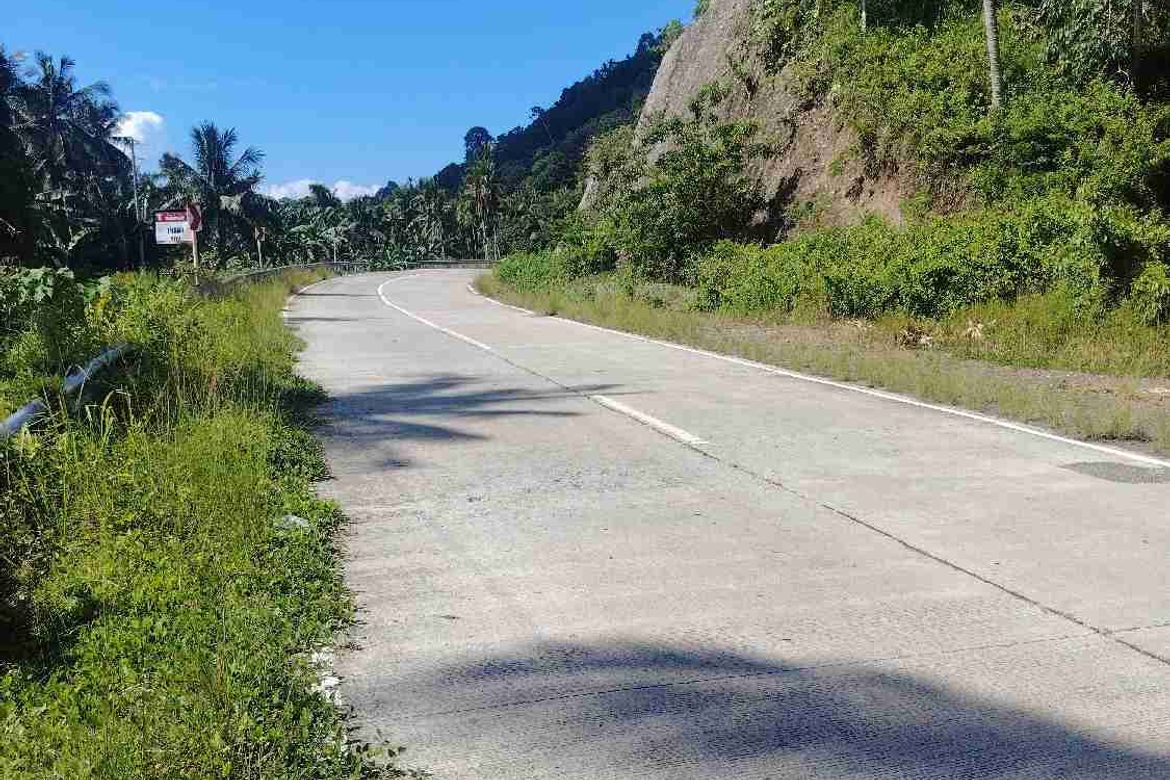 Land for Sale in Kanaan, Samal, Davao del Norte – photo 3