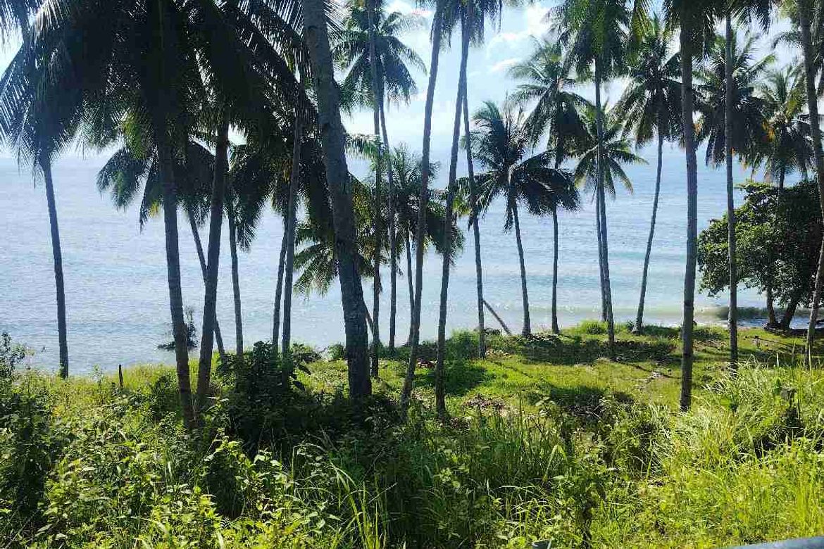 Land for Sale in Kanaan, Samal, Davao del Norte – photo 4