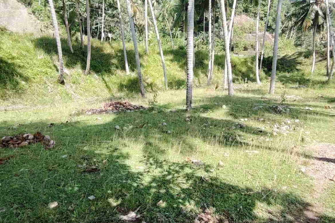 Land for Sale in Kanaan, Samal, Davao del Norte – photo 5