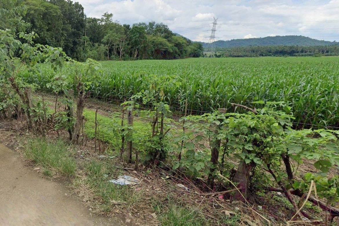 Land for Sale in Kanluran, Calauan, Laguna – photo 3