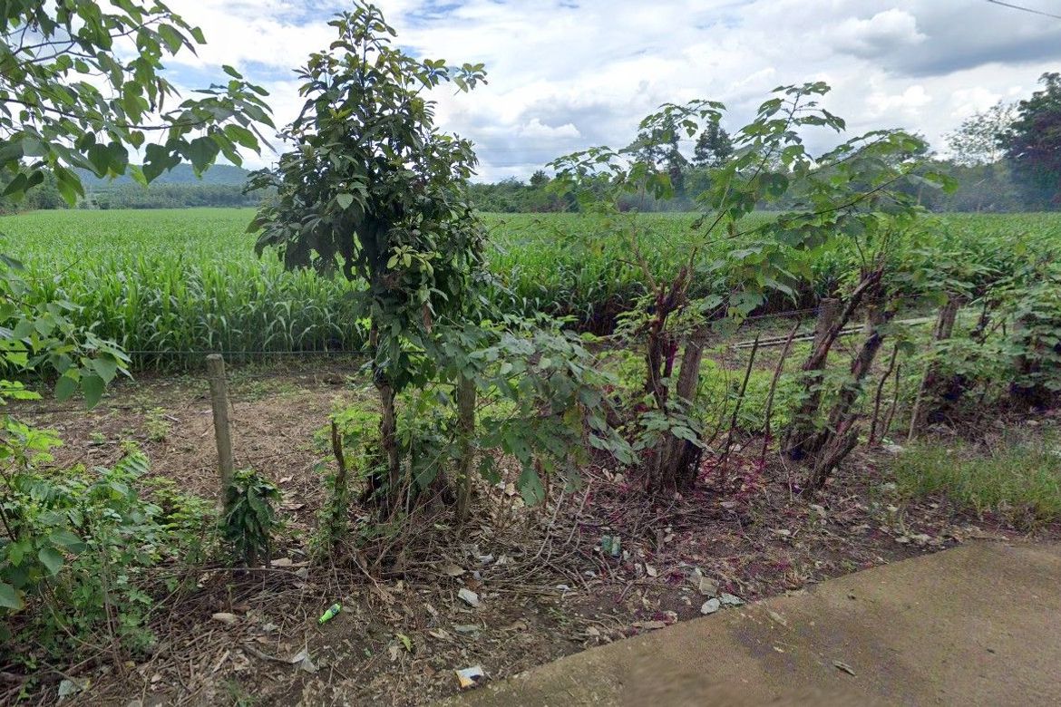 Land for Sale in Kanluran, Calauan, Laguna – photo 6