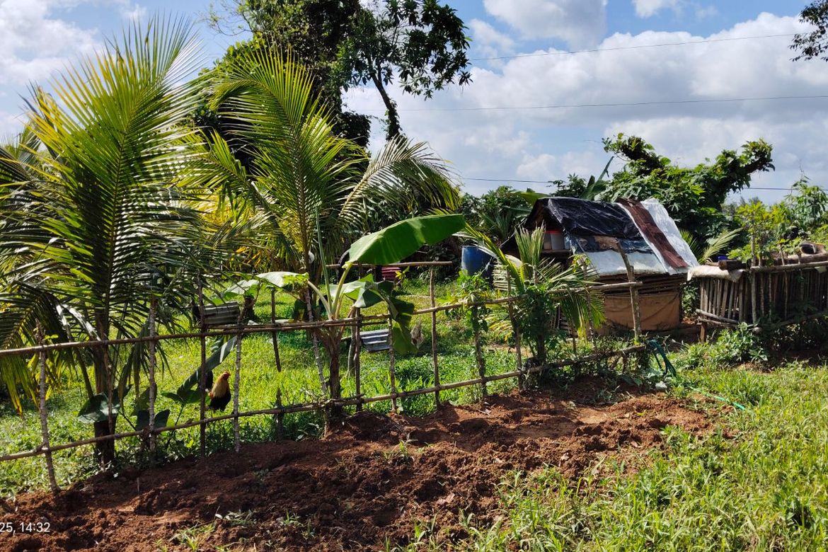 Land for Sale in Kanluran Talaongan, Cavinti, Laguna – photo 3