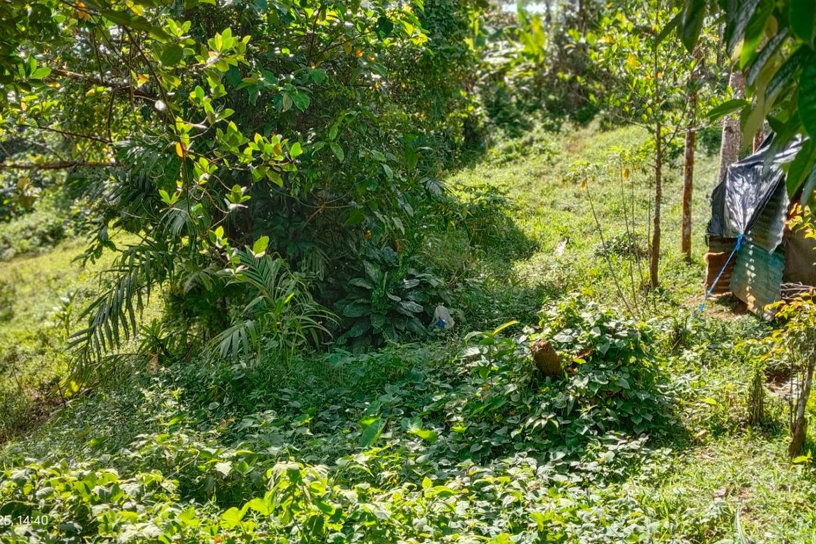 Land for Sale in Kanluran Talaongan, Cavinti, Laguna – photo 6