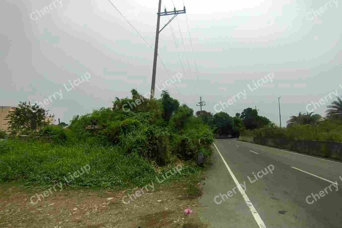 Land for Sale in Karuhatan, Valenzuela, Metro Manila – photo 5