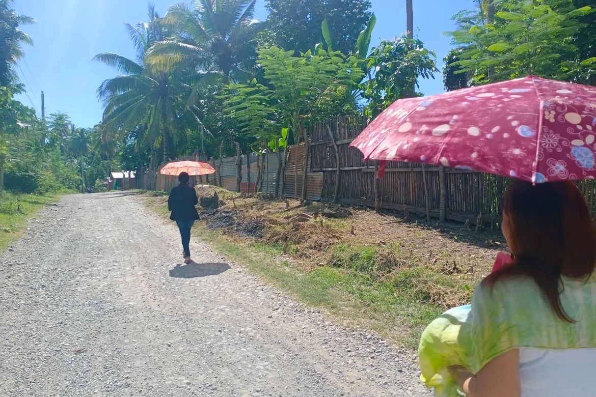 Land for Sale in Kasilak, Panabo, Davao del Norte – photo 2