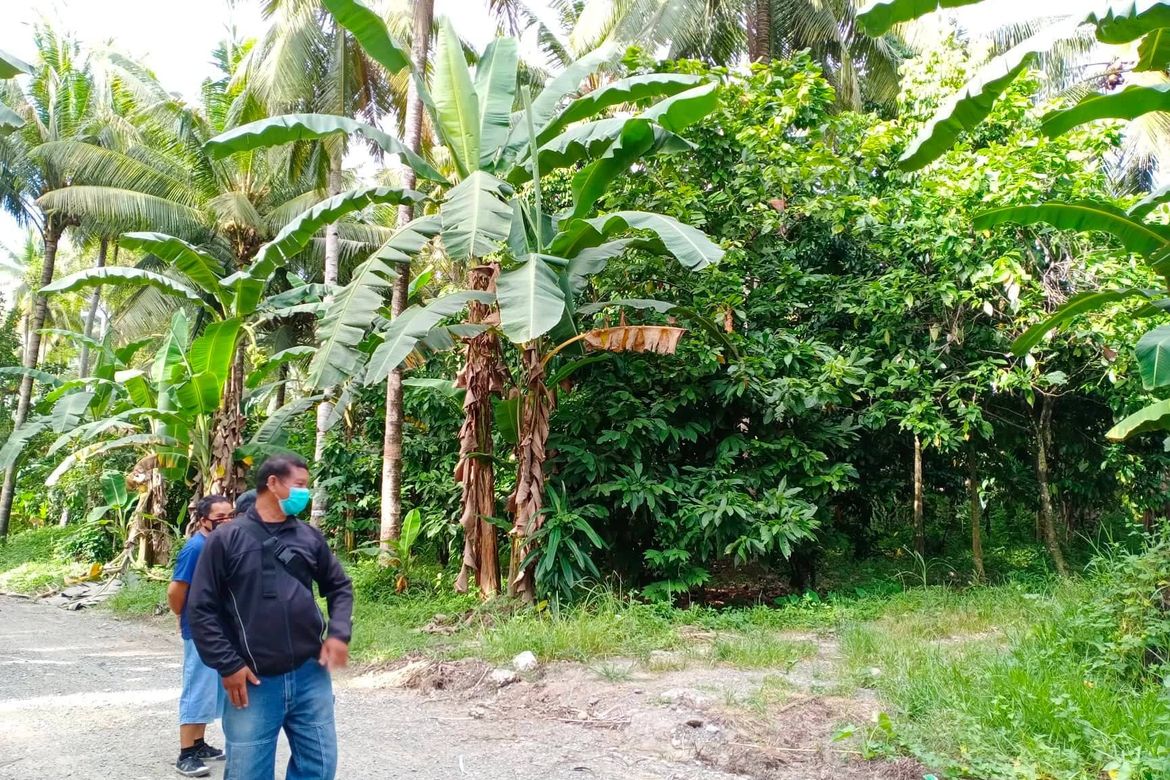 Land for Sale in Kasilak, Panabo, Davao del Norte – photo 7
