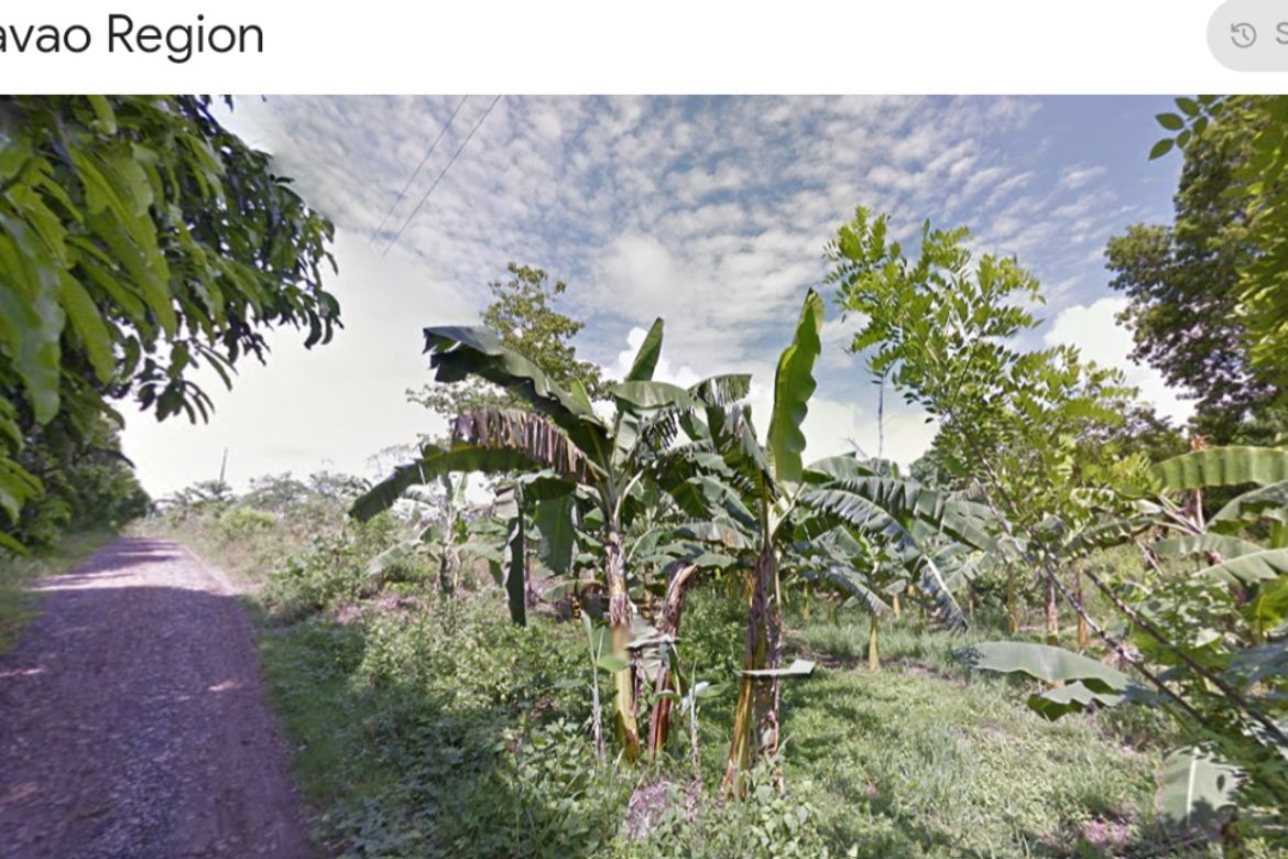 Land for Sale in Kasilak, Panabo, Davao del Norte – photo 2