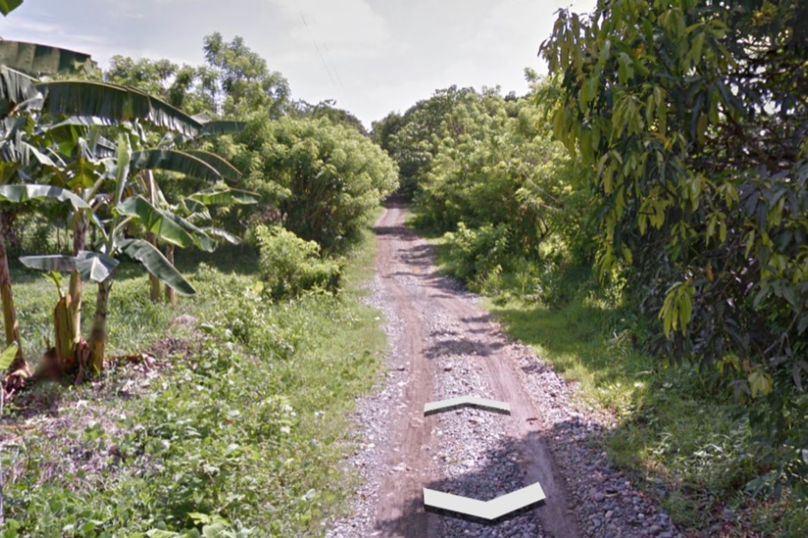 Land for Sale in Kasilak, Panabo, Davao del Norte – photo 3