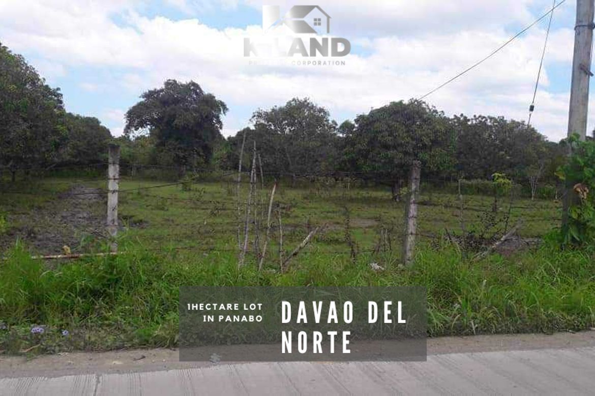 Land for Sale in Kasilak, Panabo, Davao del Norte