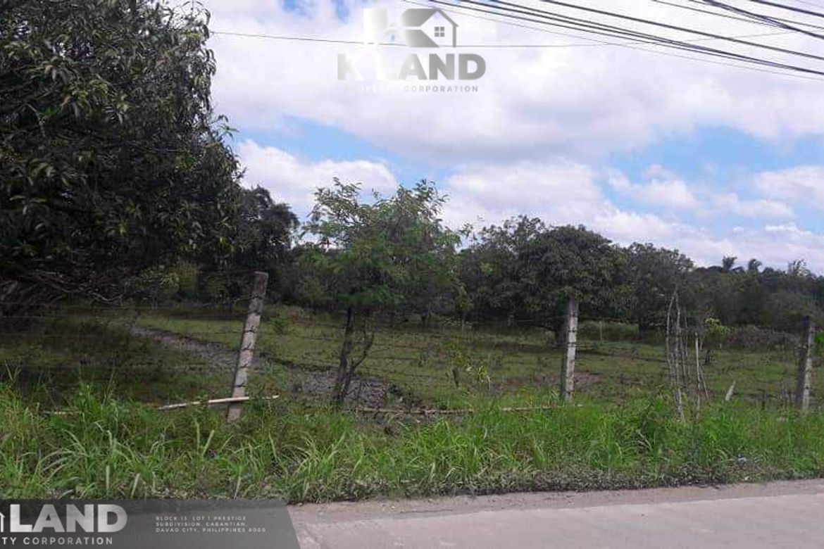 Land for Sale in Kasilak, Panabo, Davao del Norte – photo 2