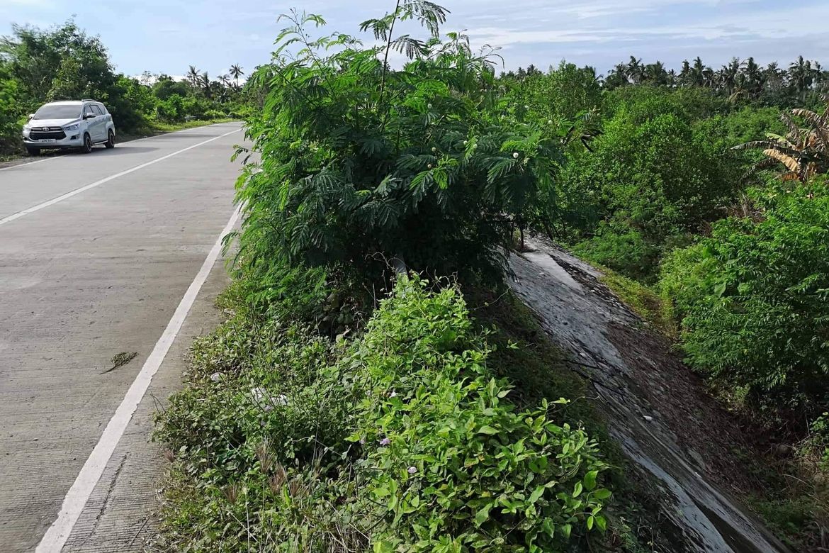 Land for Sale in Kasilak, Panabo, Davao del Norte