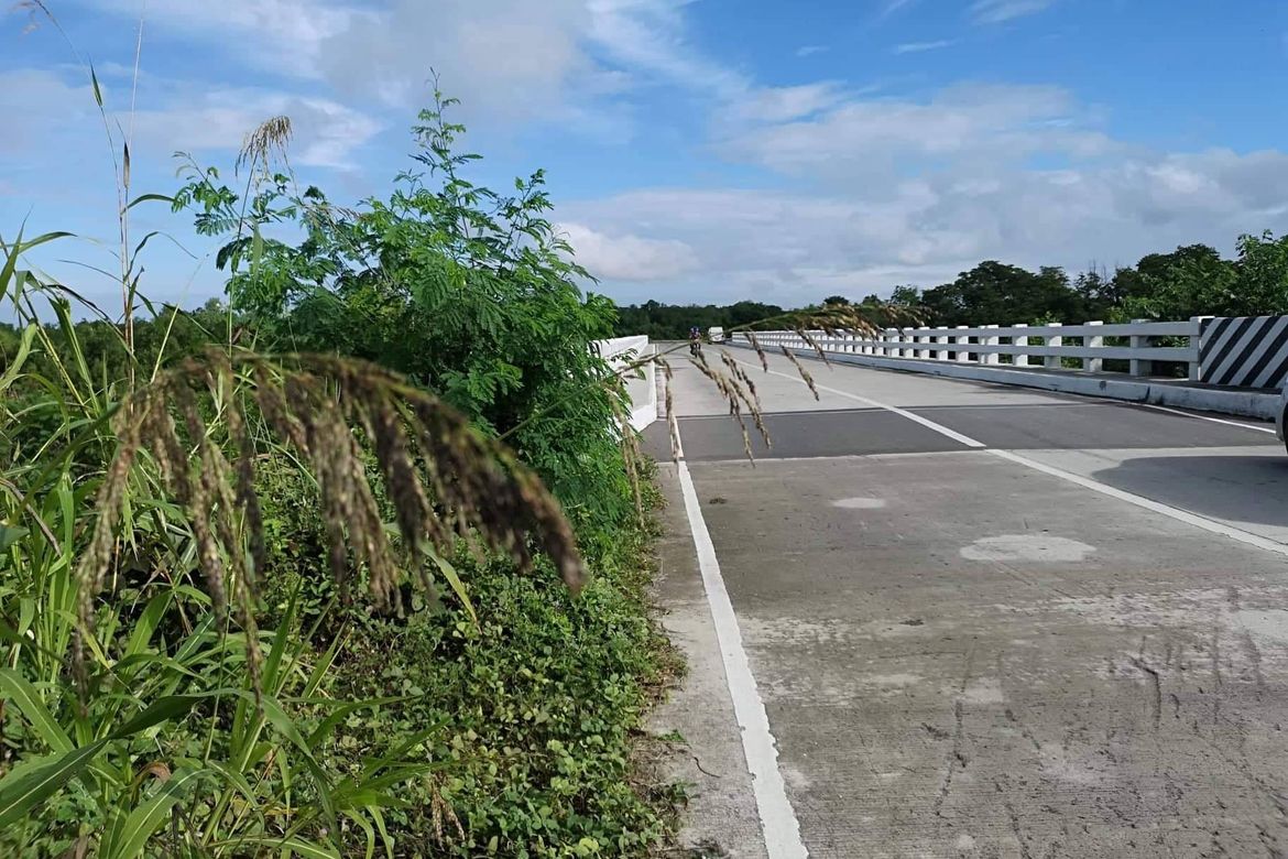 Land for Sale in Kasilak, Panabo, Davao del Norte – photo 5