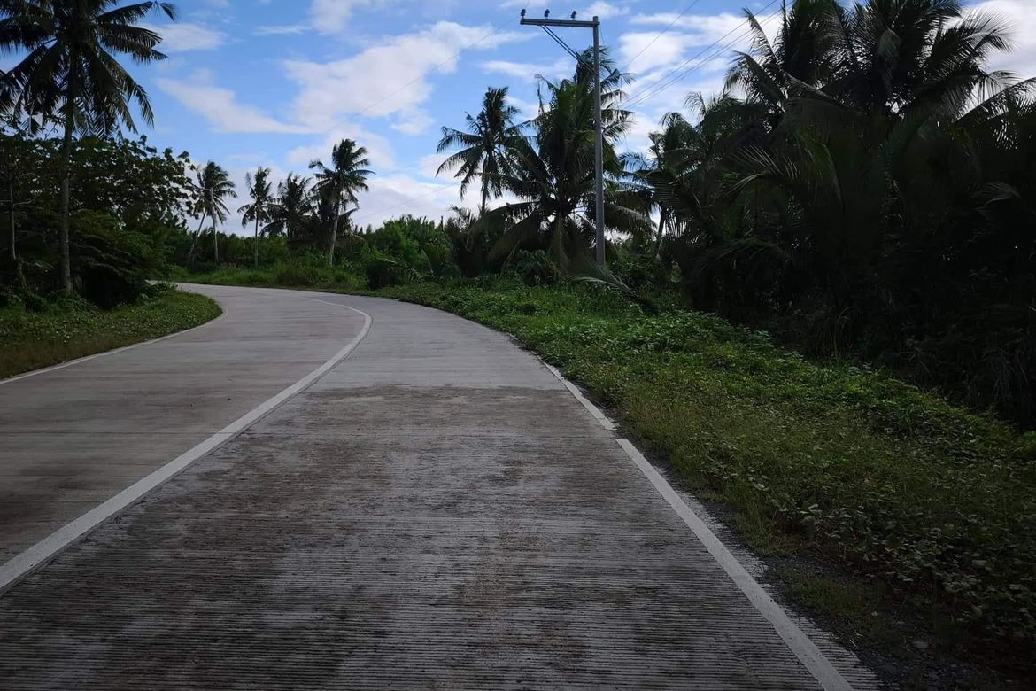 Land for Sale in Kasilak, Panabo, Davao del Norte – photo 6