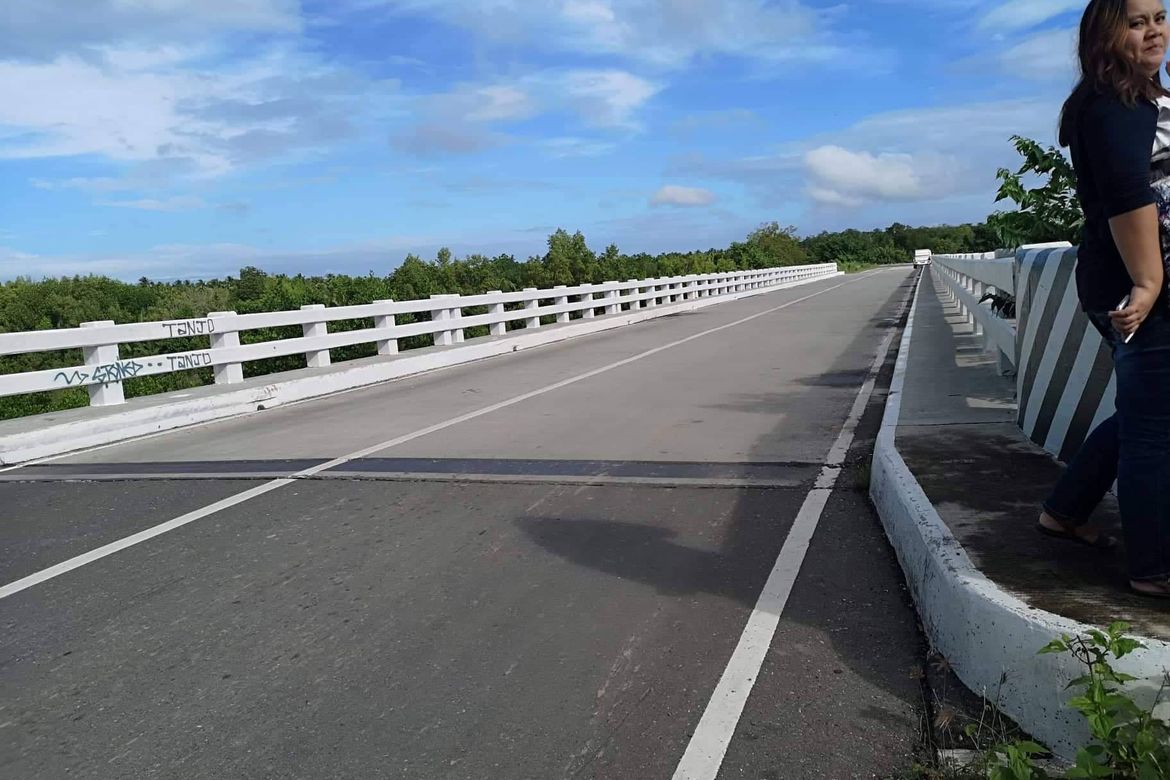 Land for Sale in Kasilak, Panabo, Davao del Norte – photo 8