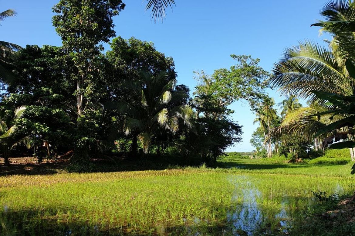 Land for Sale in Katarungan, Ubay, Bohol – photo 2