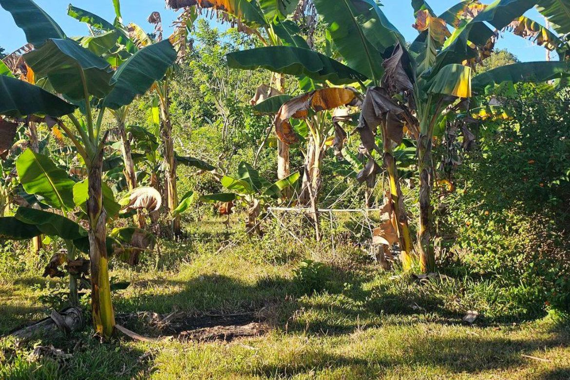 Land for Sale in Katipunan, Anda, Bohol