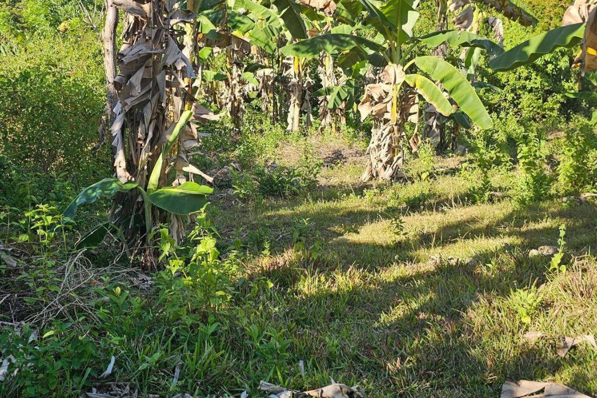 Land for Sale in Katipunan, Anda, Bohol – photo 3
