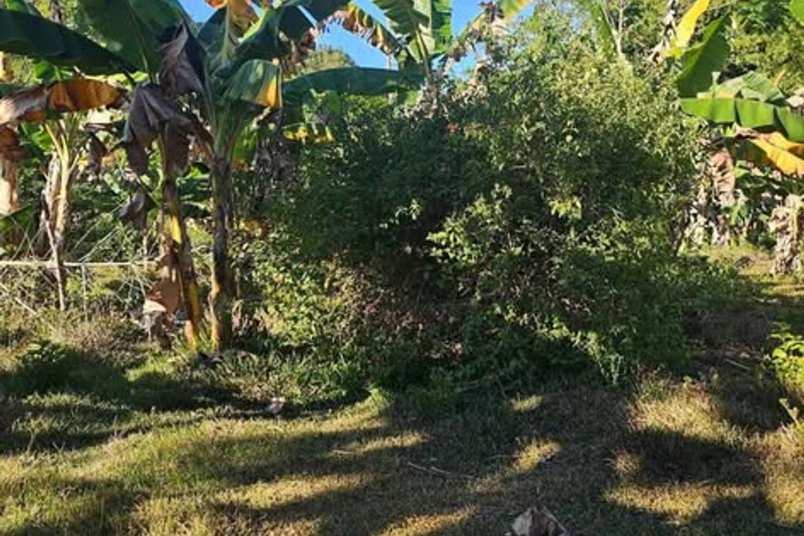 Land for Sale in Katipunan, Anda, Bohol – photo 4