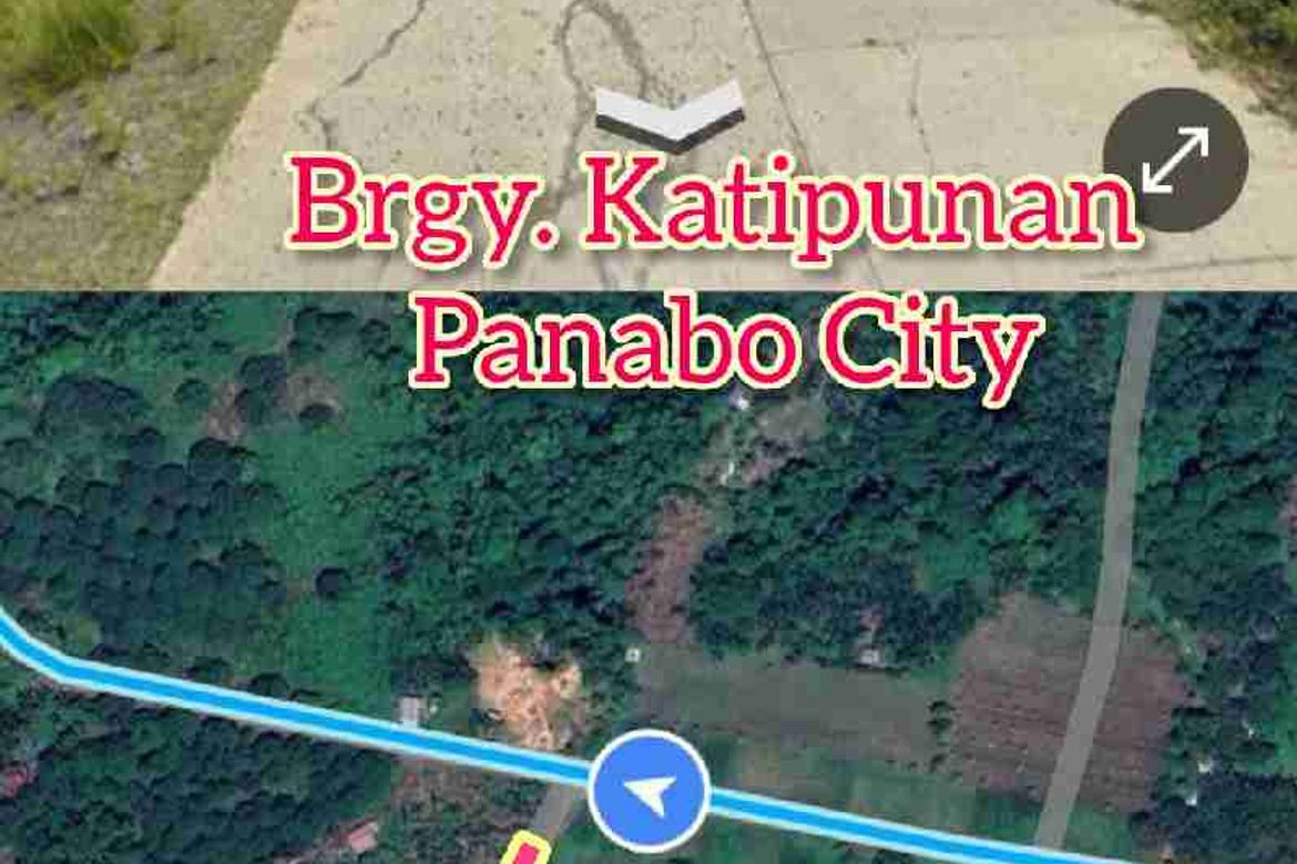 Land for Sale in Katipunan, Panabo, Davao del Norte – photo 3