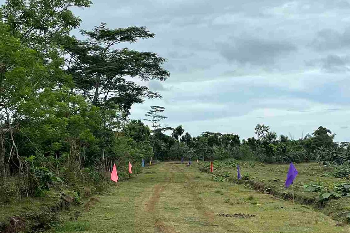 Land for Sale in Katipunan, Panabo, Davao del Norte – photo 5
