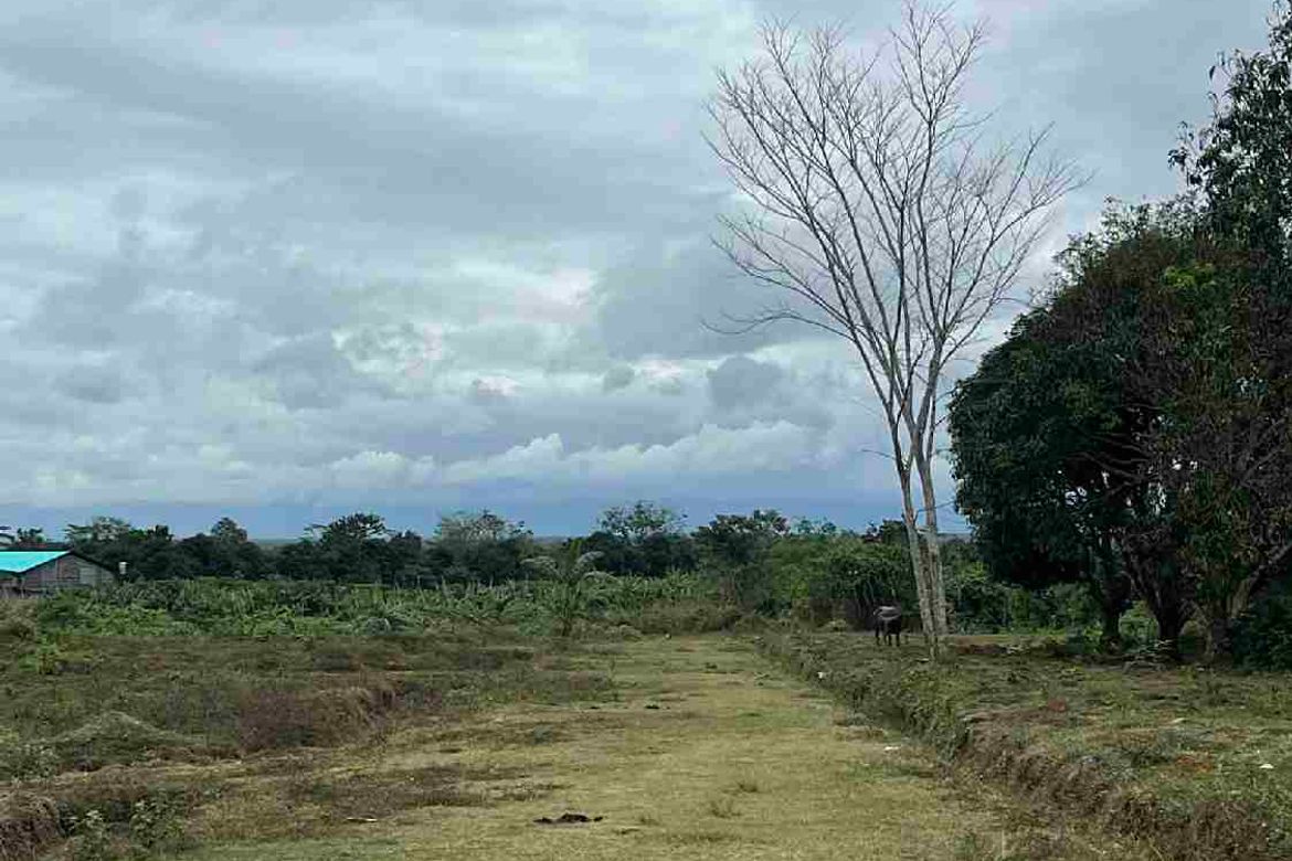 Land for Sale in Katipunan, Panabo, Davao del Norte – photo 6