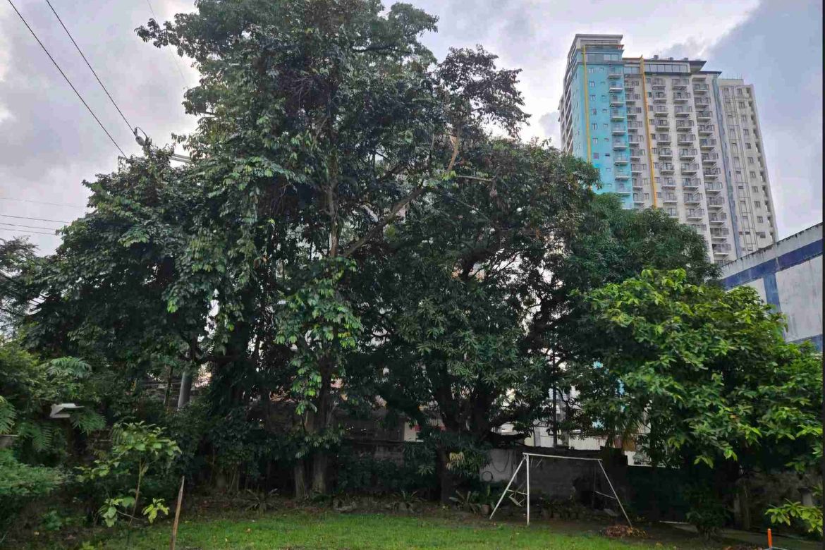Land for Sale in Kaunlaran, Quezon City, Metro Manila near LRT-2 Betty Go-Belmonte – photo 6