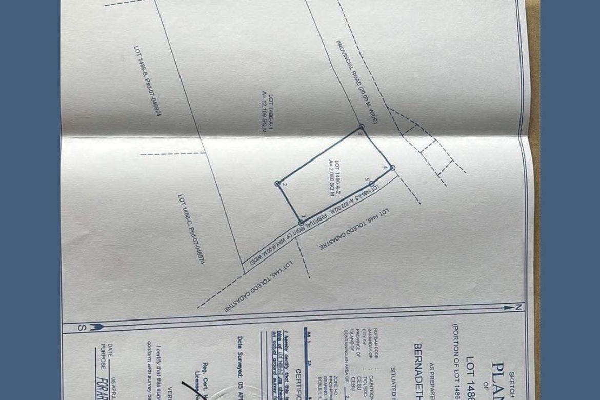 Land for Sale in Kawasan, Aloguinsan, Cebu – photo 3