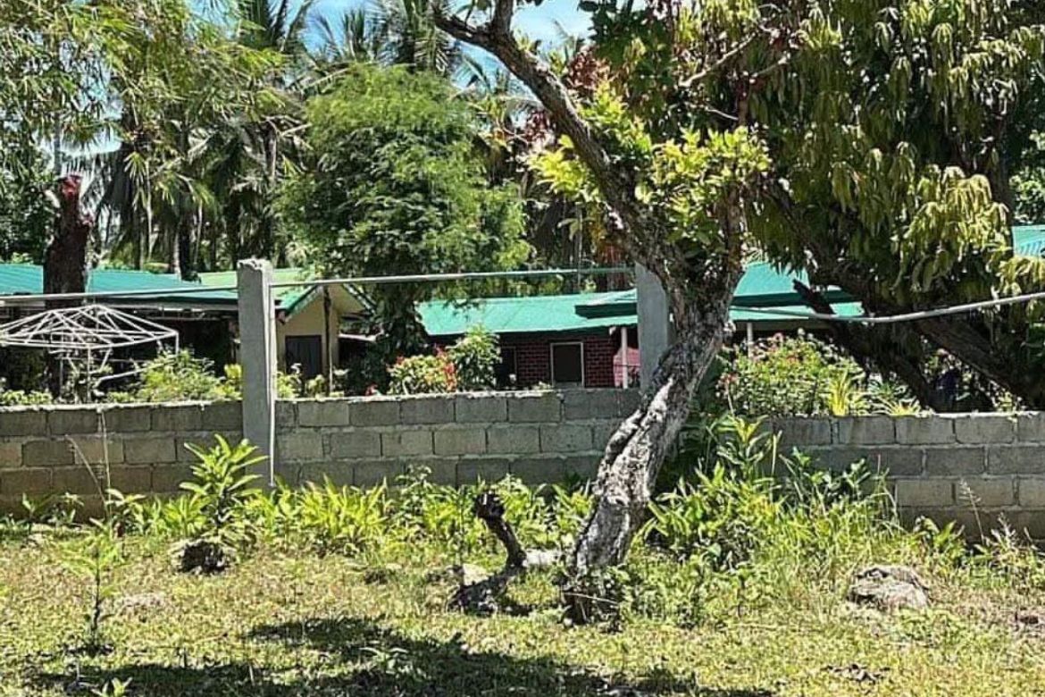 Land for Sale in Kawasan, Aloguinsan, Cebu – photo 4