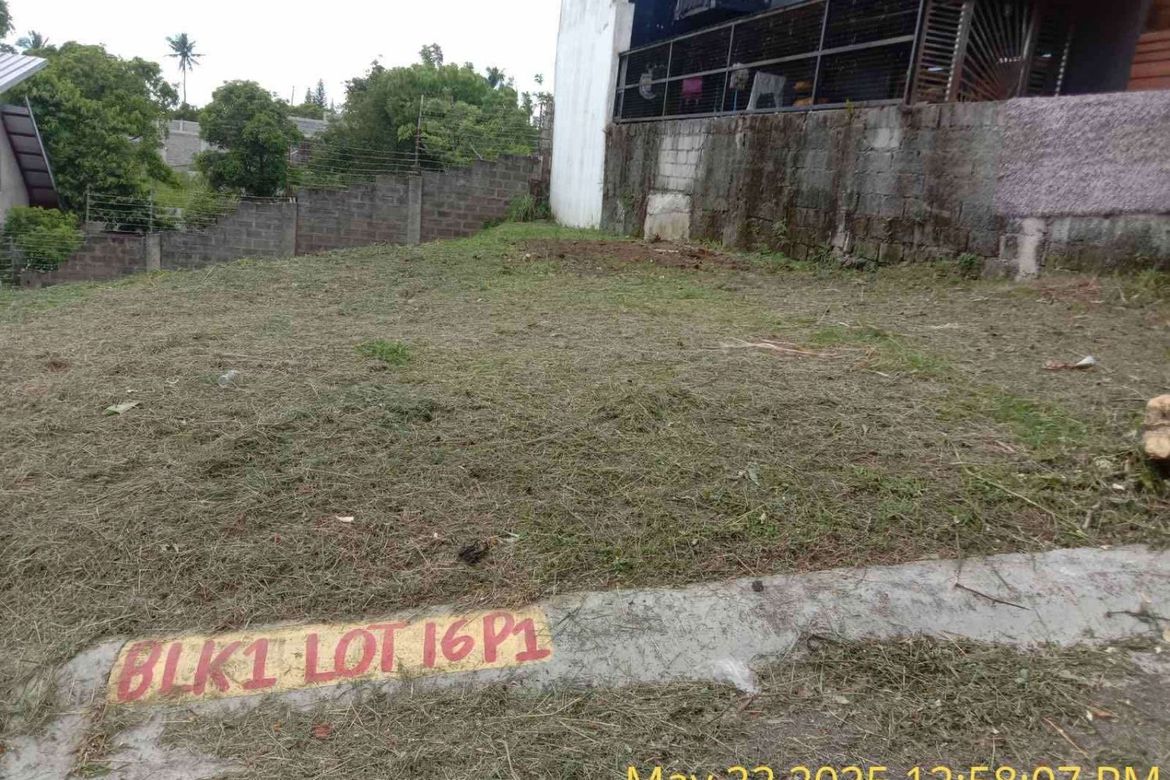 Land for Sale in Kaybagal East, Tagaytay, Cavite – photo 4