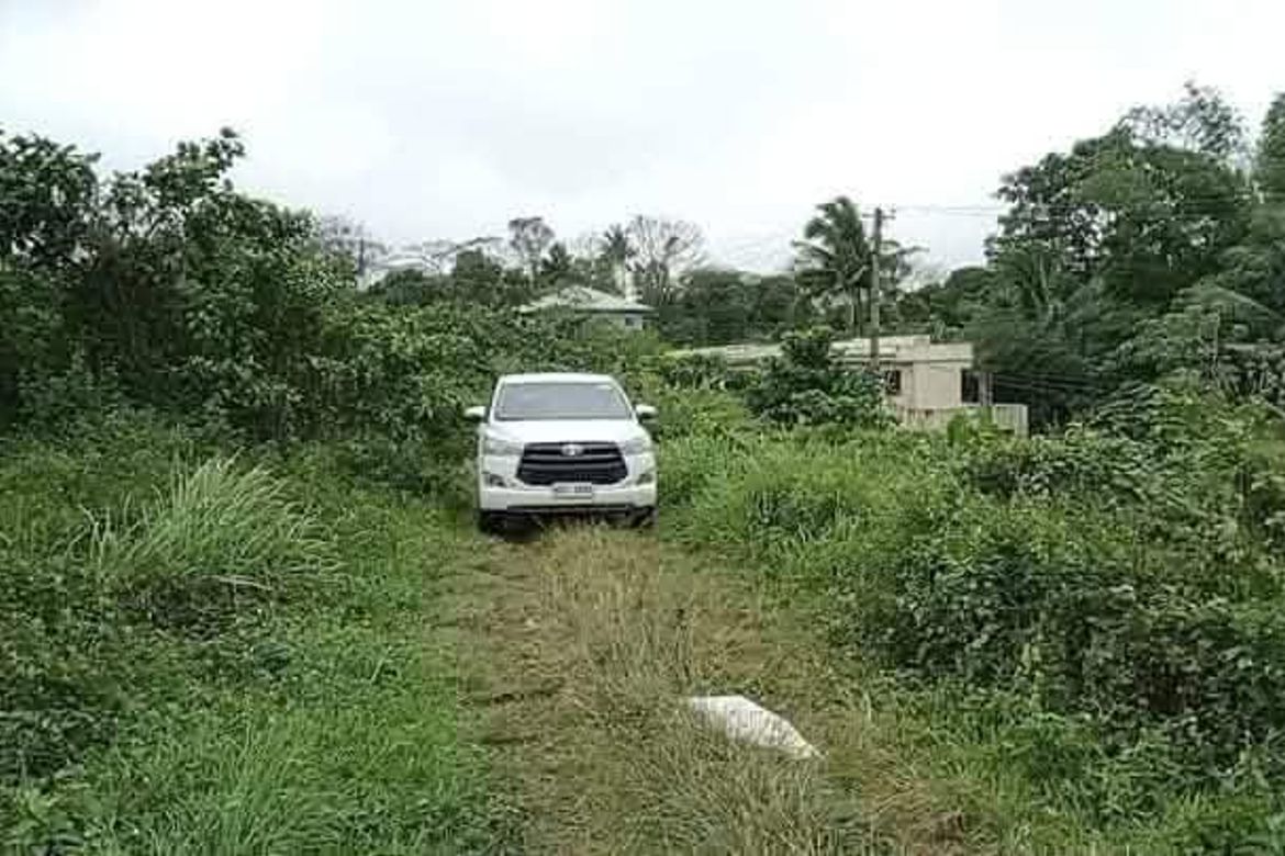 Land for Sale in Kaybagal East, Tagaytay, Cavite – photo 2