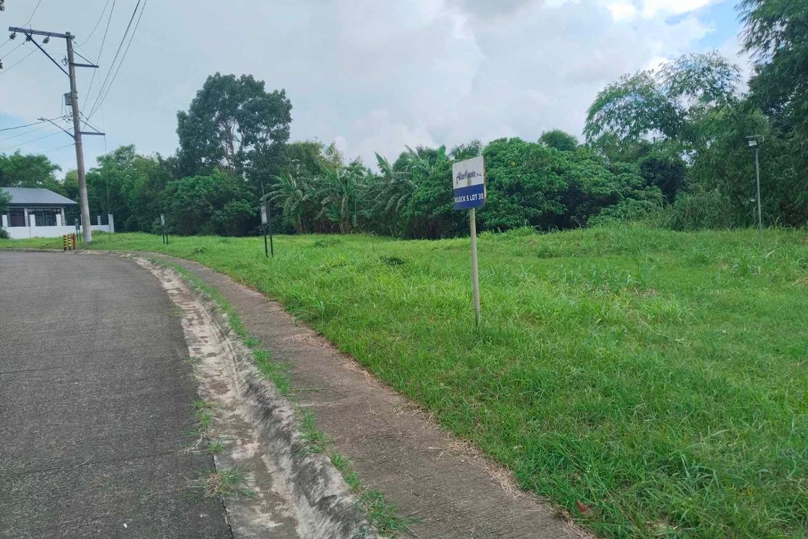 Land for Sale in Kaybagal East, Tagaytay, Cavite – photo 8
