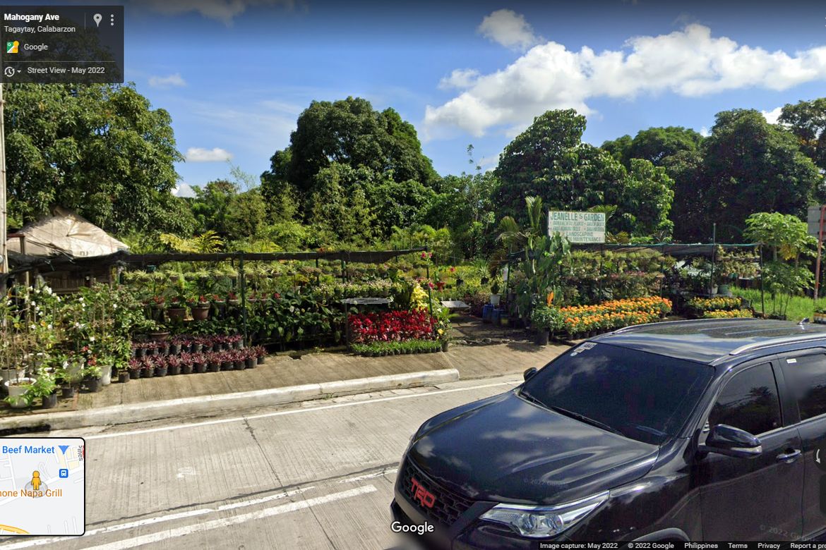 Land for Sale in Kaybagal North, Tagaytay, Cavite – photo 3