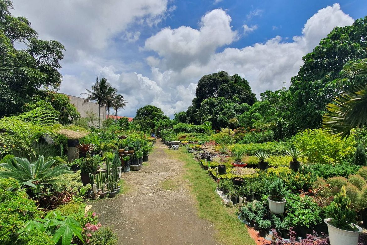 Land for Sale in Kaybagal North, Tagaytay, Cavite – photo 4