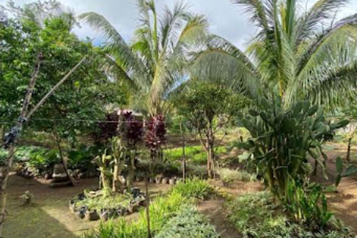 Land for Sale in Kaybagal North, Tagaytay, Cavite – photo 2