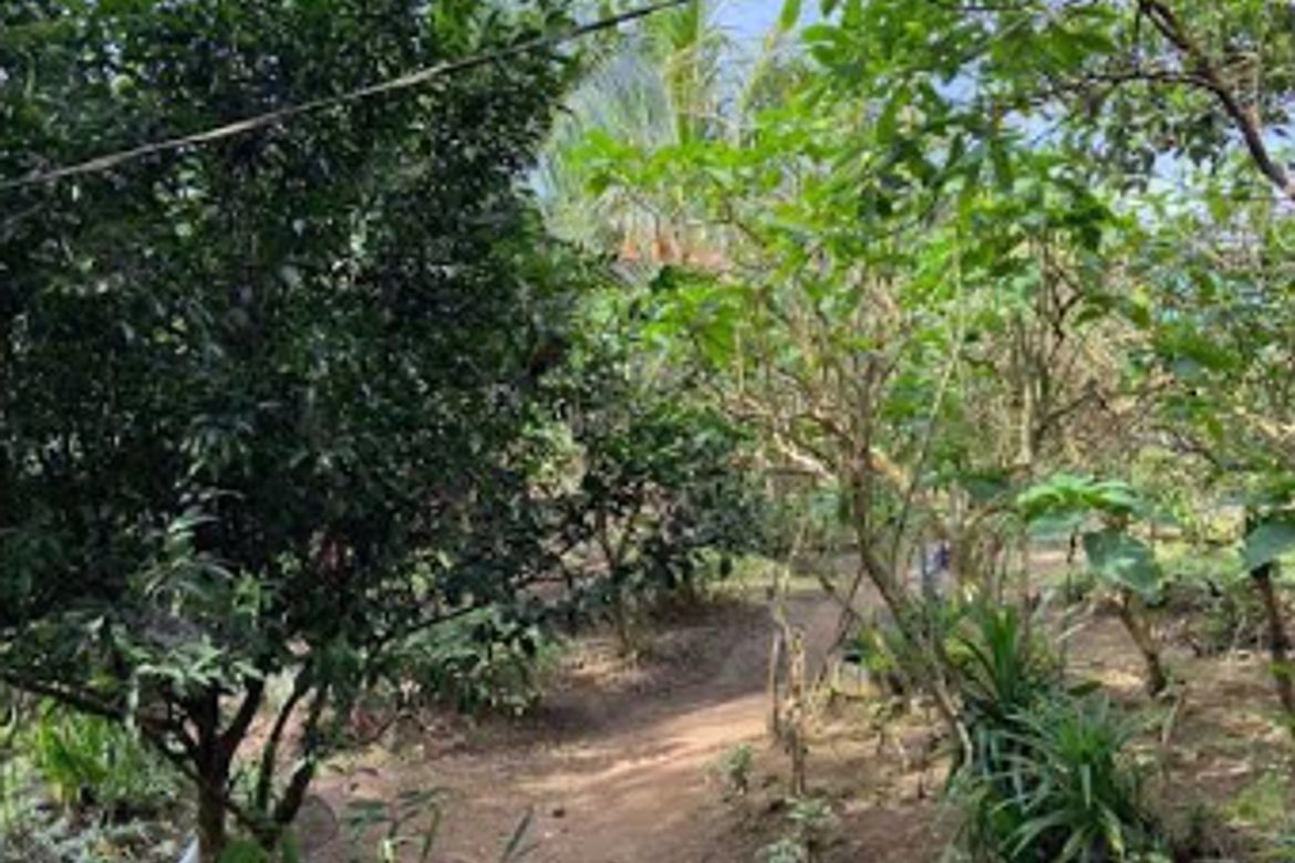 Land for Sale in Kaybagal North, Tagaytay, Cavite – photo 3