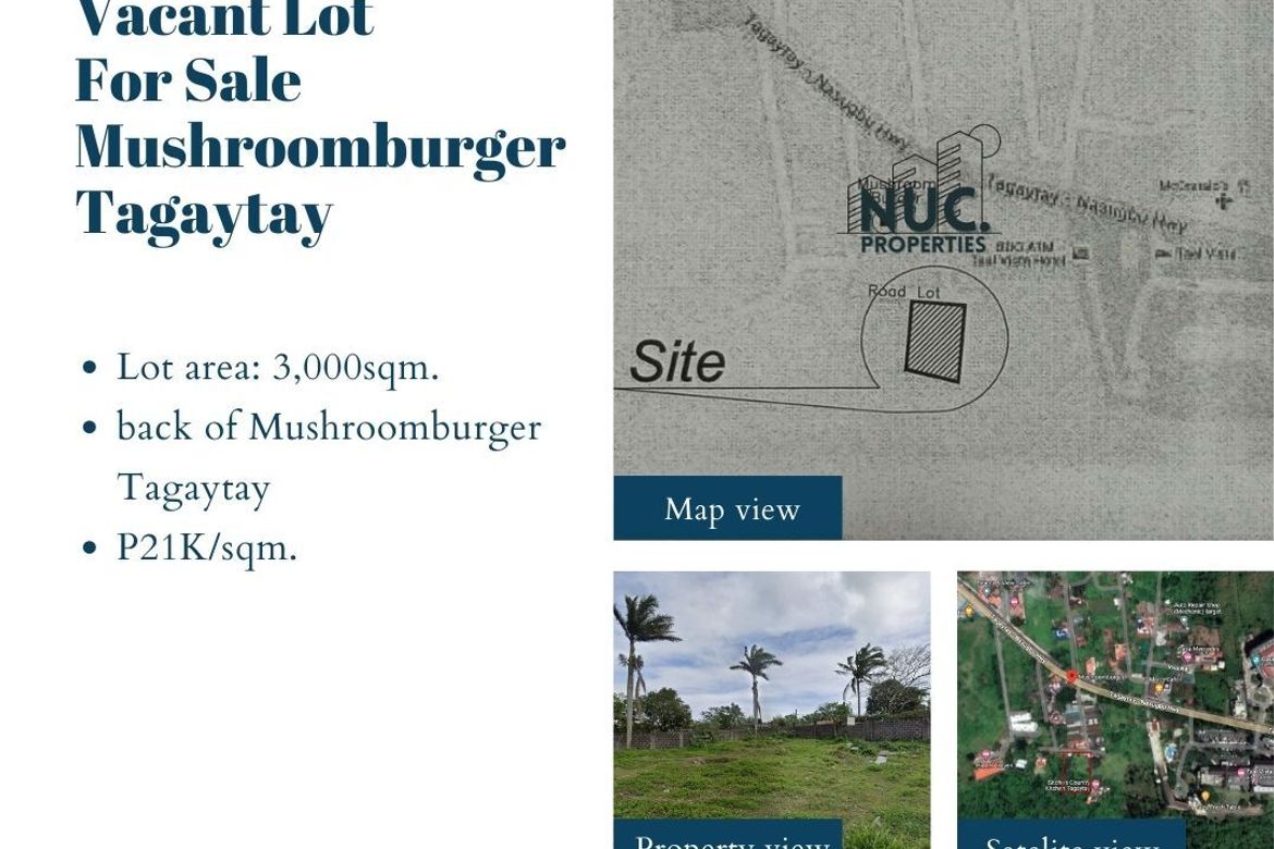 Land for Sale in Kaybagal South, Tagaytay, Cavite – photo 2
