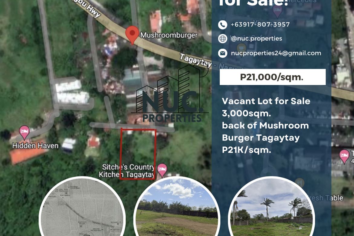 Land for Sale in Kaybagal South, Tagaytay, Cavite – photo 3