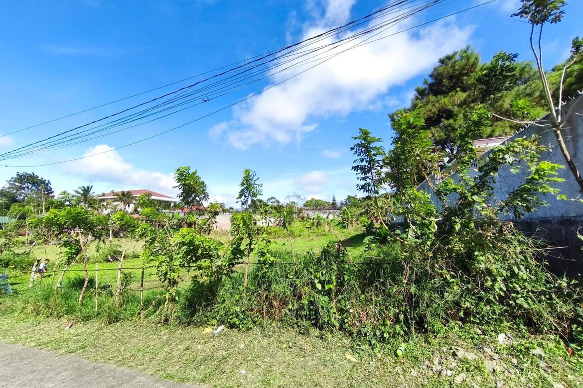 Land for Sale in Kaybagal South, Tagaytay, Cavite – photo 3