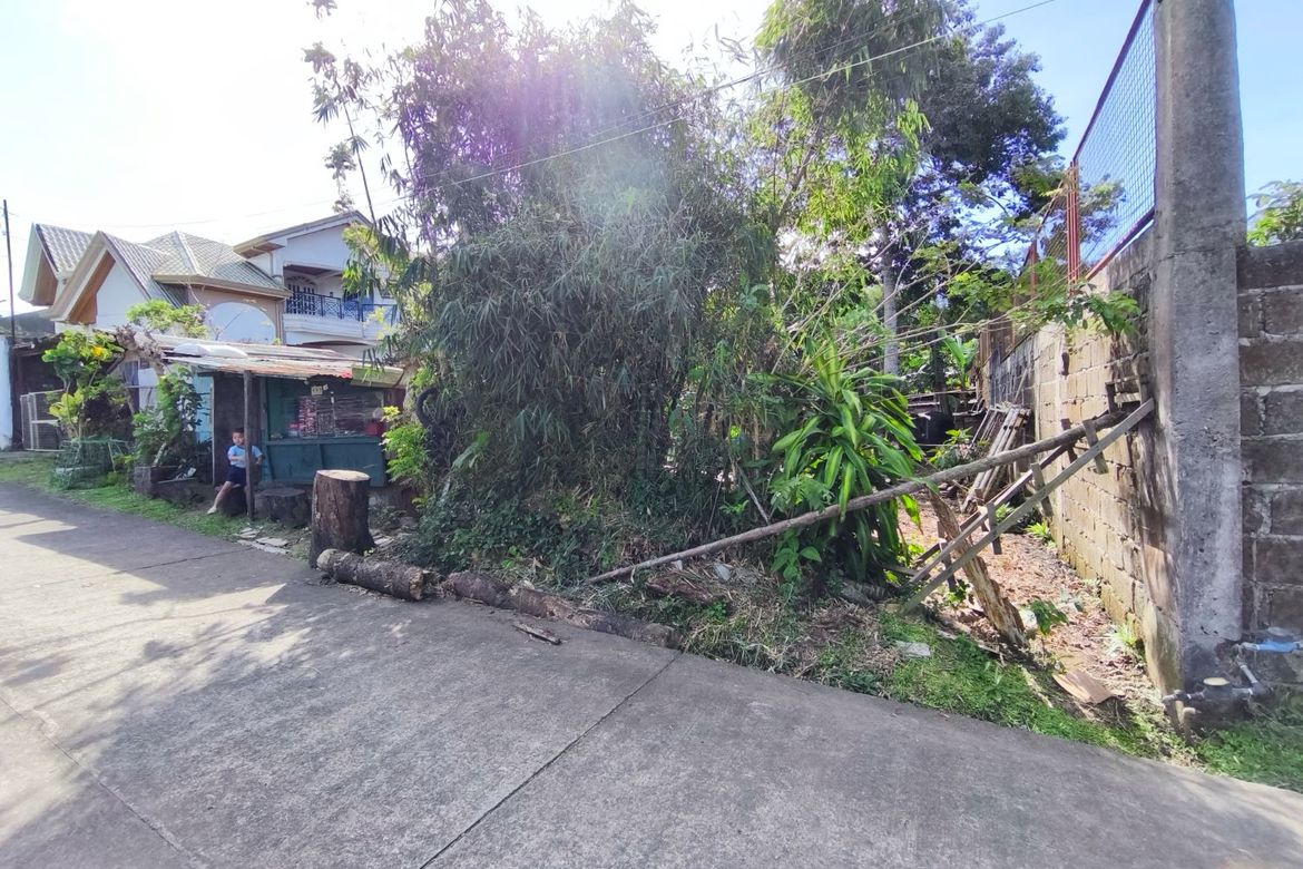 Land for Sale in Kaybagal South, Tagaytay, Cavite – photo 5