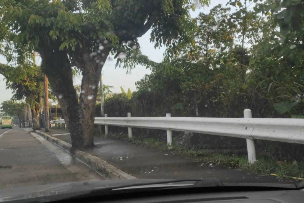 Land for Sale in Kaybagal South, Tagaytay, Cavite – photo 4