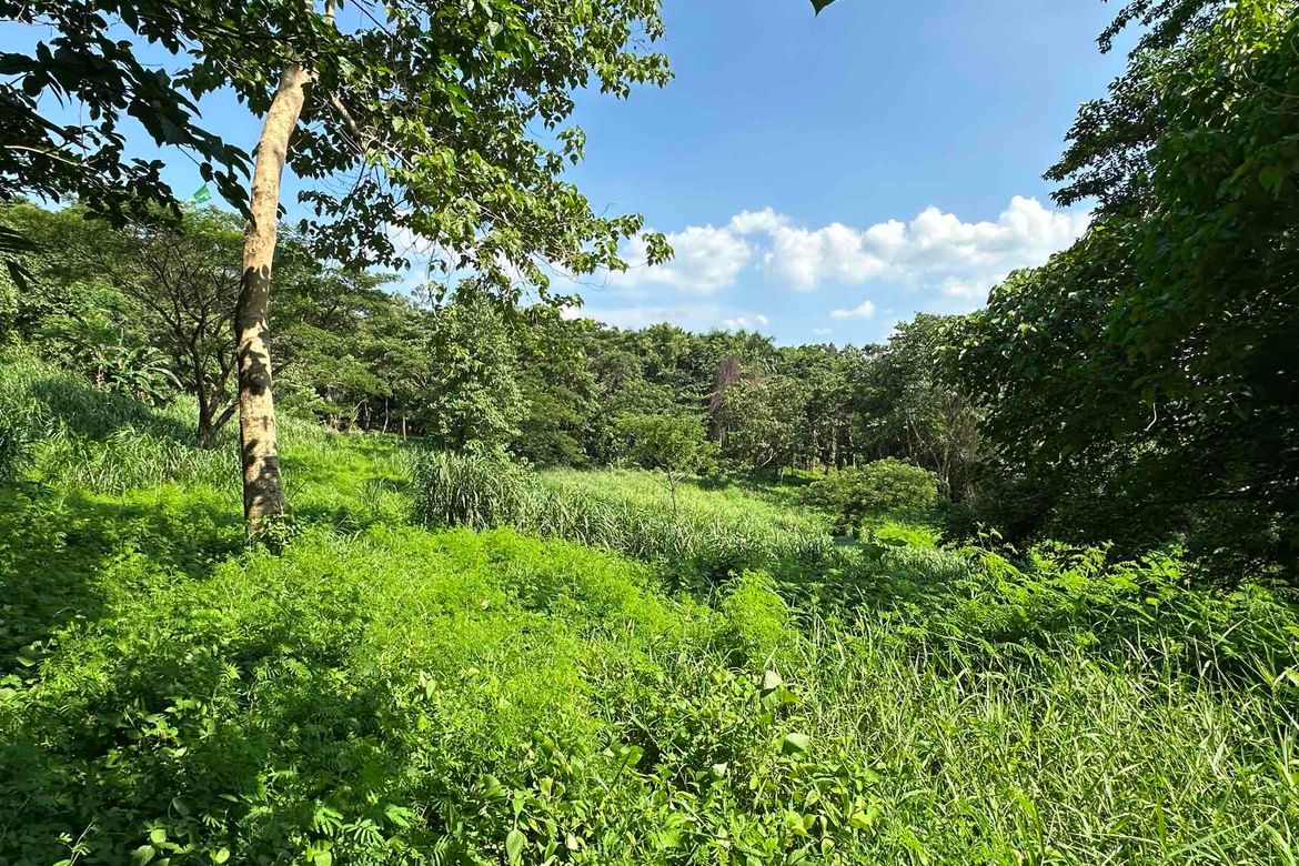 Land for Sale in Kaybanban, San Jose del Monte, Bulacan – photo 8