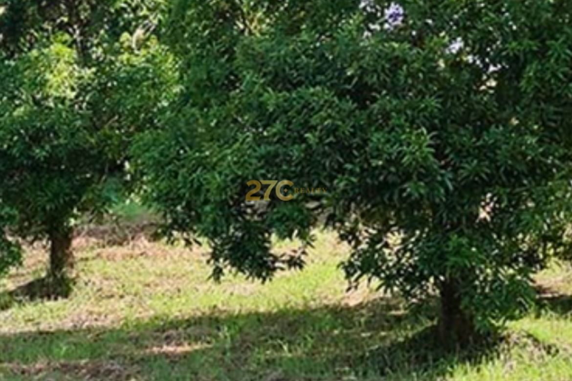 Land for Sale in Kaylaway, Nasugbu, Batangas – photo 2