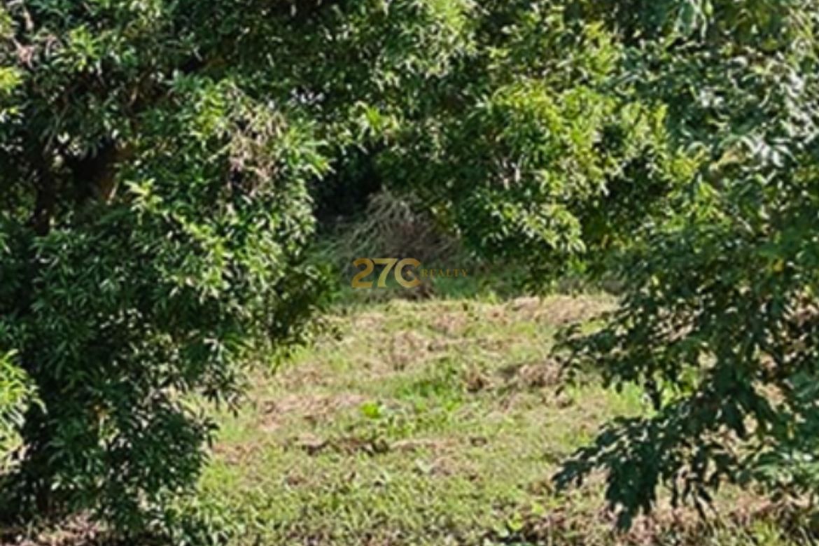 Land for Sale in Kaylaway, Nasugbu, Batangas – photo 3