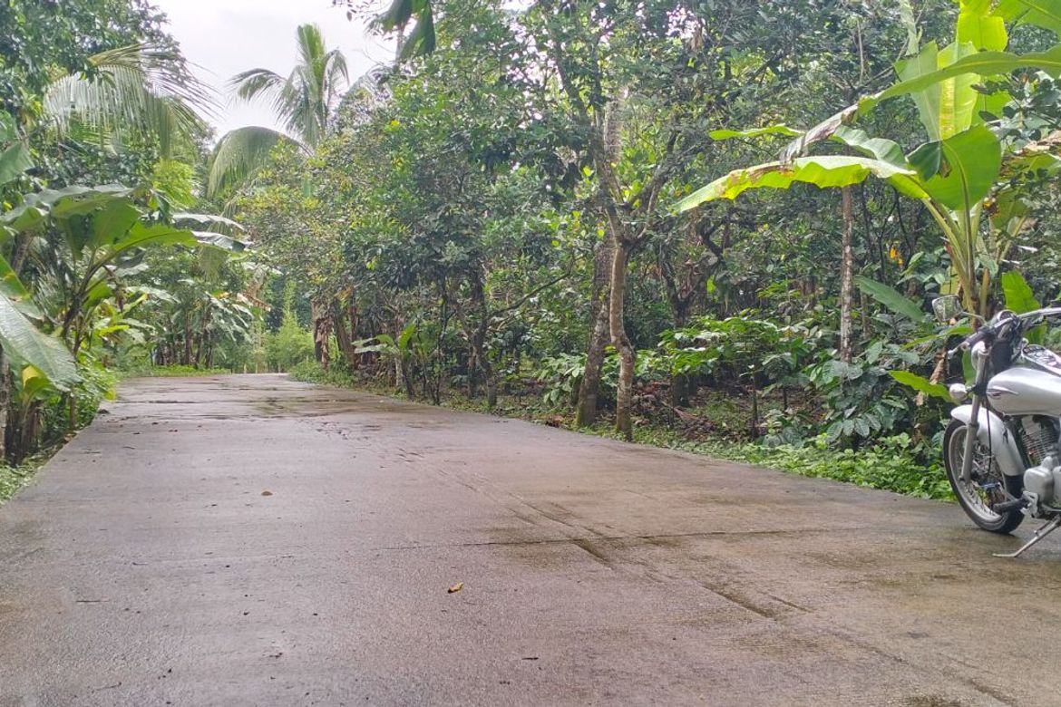Land for Sale in Kaymisas, General Emilio Aguinaldo, Cavite