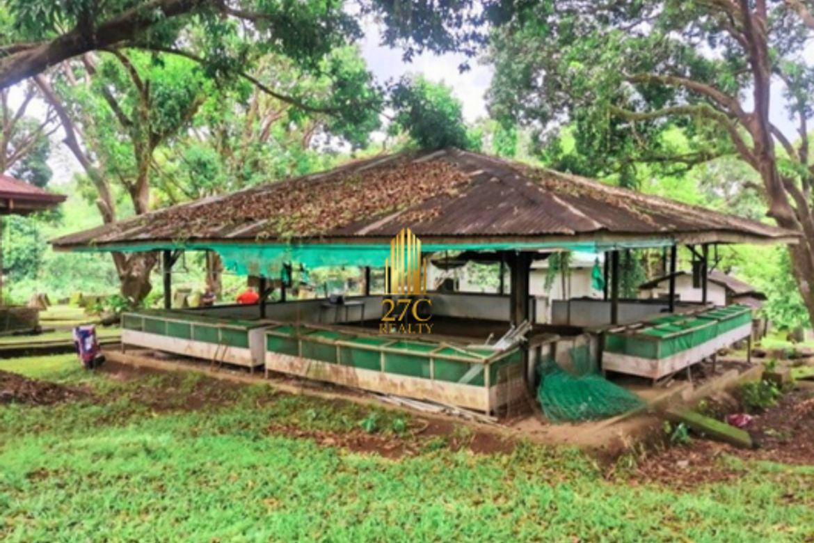 Land for Sale in Kaypian, San Jose del Monte, Bulacan – photo 4
