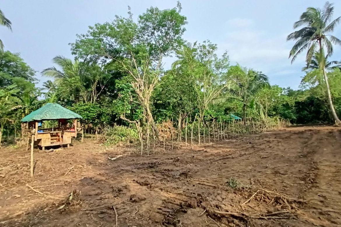 Land for Sale in Kayquit I, Indang, Cavite – photo 4